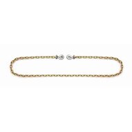 Campbell 0513765 12 X 20' Grade 70 Binder Chain Wclevis Grab Hooks Each End-1