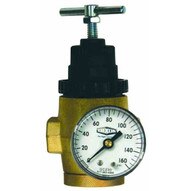 Dixon Valve R43-406RG 12 Series 1 Water Regulator W Gauge T-handle-1