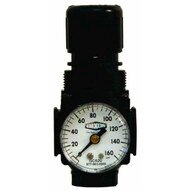 Dixon Valve R72G-3RG 38 Series 1 Regulator Wgc620-1