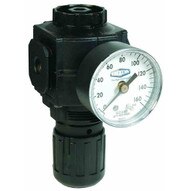 Dixon Valve R73G-2RG 14 Series 1 Regulator Wgc230-1