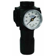 Dixon Valve R74G-6RG 34 Series 1 Regulator Wgc230-1