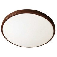 Morris Products 72223 Led 1 Band Decorative Ceiling Lighting 14'' Single Ring 22w 4000k Bronze-1