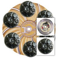 Pearl Abrasive Hex17bpdclt 15 Plate With Cltuch And 6 Hook And Loop-1