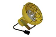 Tri Lite DL24-P Double Strut Incandescentpolycarbonate Docklight Usa Made-1