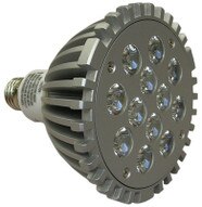 TPI Corp LED-12 LED 12 Replacement Bulb for Energy Saving DOck Light-1